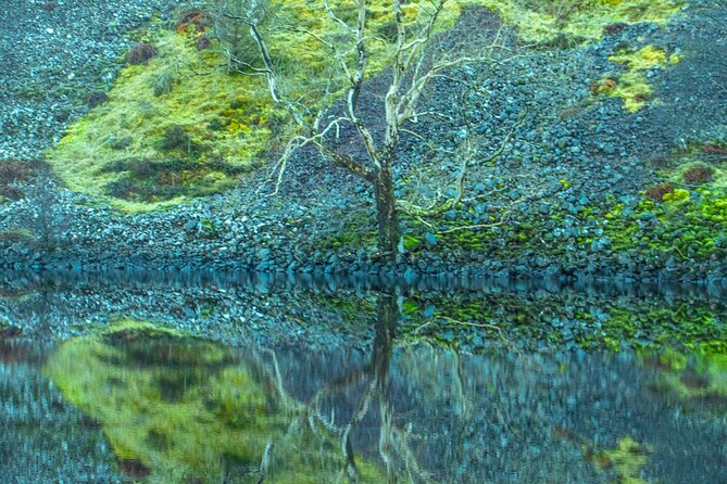 Private Tour of the Scottish Highlands from Edinburgh - Why this private Highlands route works from Edinburgh