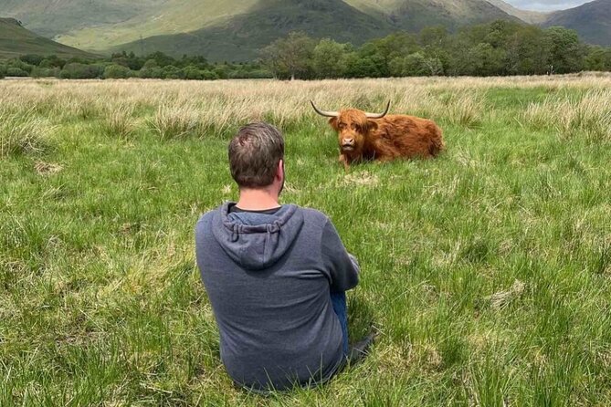 Private Tour to the Stunning Scottish Highlands & Glencoe - What Justin Richards adds to the day