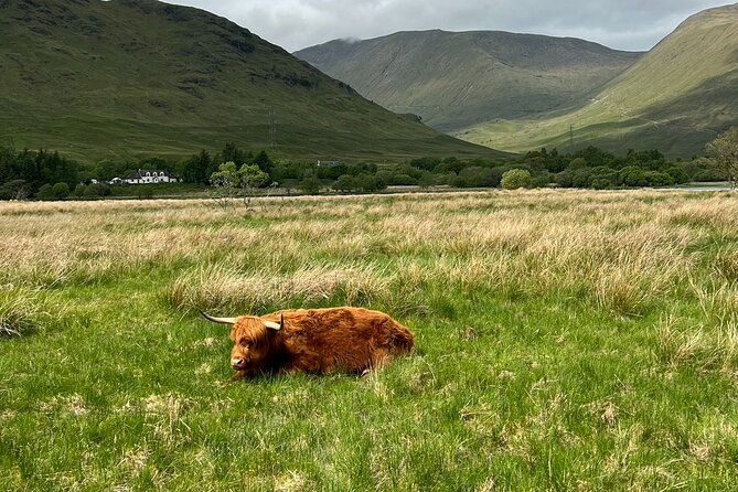 Private Tour to the Stunning Scottish Highlands & Glencoe - Vehicle comfort, group size, and the real cost