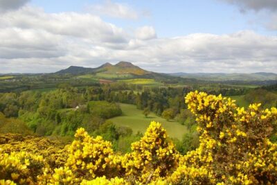 Rosslyn Chapel and Scottish Borders Small-Group Day Tour from Edinburgh