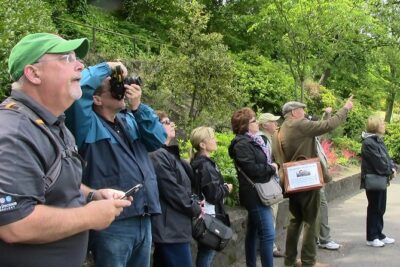 Royal Mile and Old Town Walking Tour