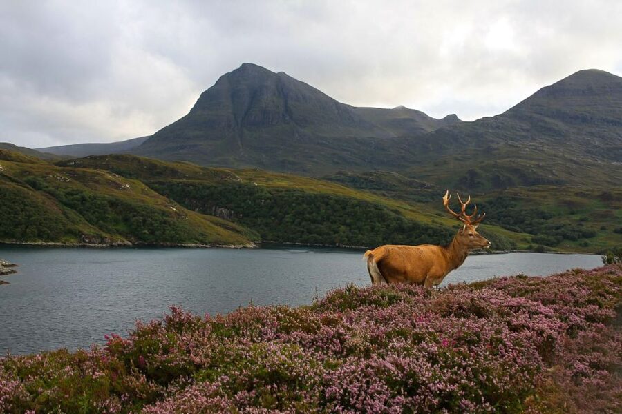 Scotland: Orkney and Northern Coast 5-Day Tour - Day 1: From Edinburgh to Loch Ness