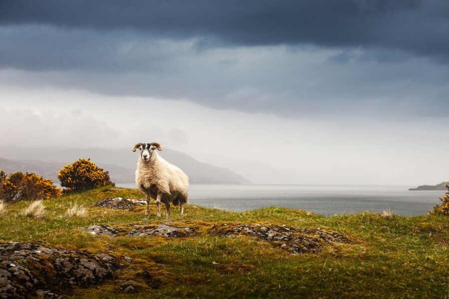 Scotland: West Highlands, Mull and Iona 4-Day Tour - Day one: Stirling, Rannoch Moor, and Glencoe