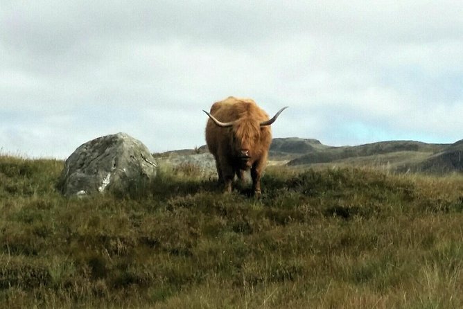 Scottish Highlands Freedom Bike & E- Bike Tour with Transfers - Why this is a good escape from Edinburgh
