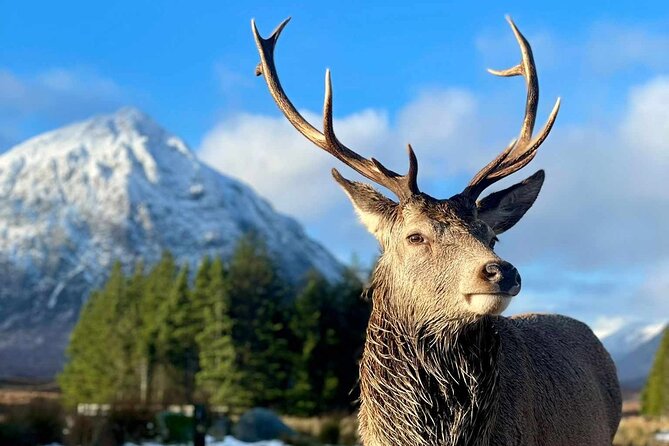 Scottish Highlands, Loch Ness and Glencoe Day Trip from Edinburgh - Glencoe and the MacDonald Story
