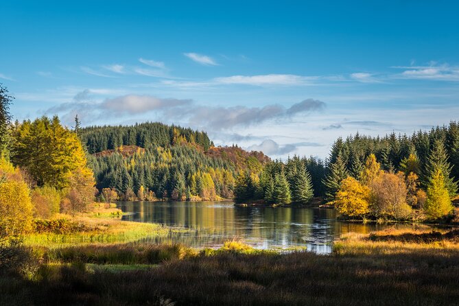 Stirling Castle, Kelpies and Loch Lomond from Edinburgh - The coach, guides, and group feel