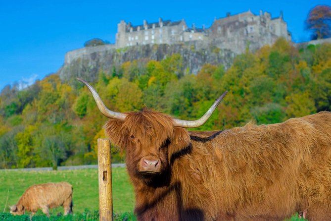 Stirling Castle,Trossachs National and Loch Lomond Day Tour from Edinburgh - The Kelpies: Scotland’s giant horse heads