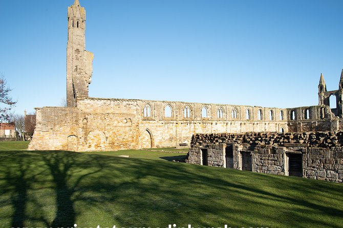 Tour of St Andrews and Historic Fife Small Group Tour - The sedan question for groups of four
